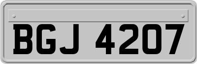 BGJ4207