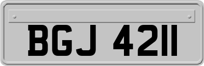 BGJ4211