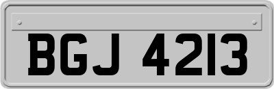 BGJ4213