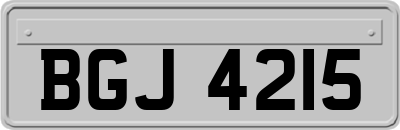 BGJ4215