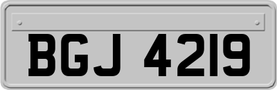 BGJ4219