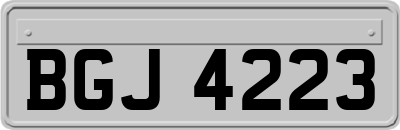 BGJ4223