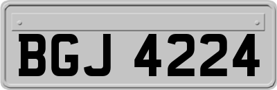 BGJ4224