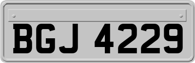 BGJ4229