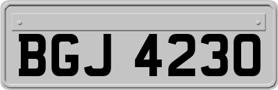 BGJ4230