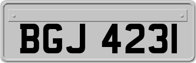 BGJ4231
