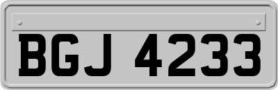 BGJ4233