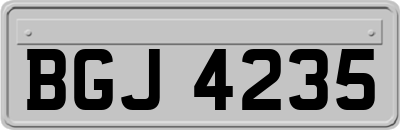 BGJ4235