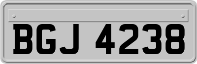 BGJ4238