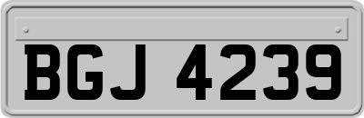 BGJ4239