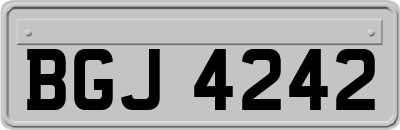 BGJ4242