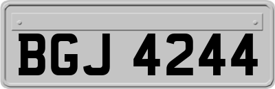 BGJ4244