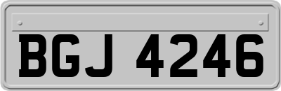 BGJ4246
