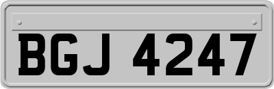 BGJ4247