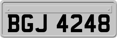 BGJ4248