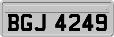 BGJ4249