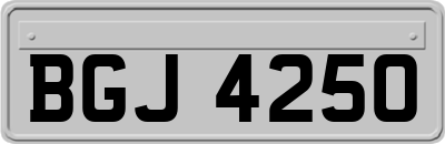BGJ4250
