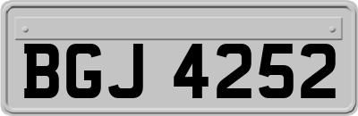 BGJ4252