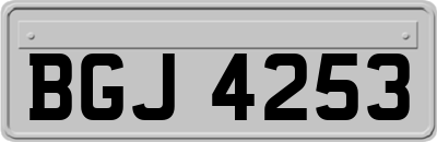 BGJ4253