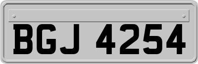 BGJ4254