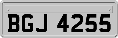BGJ4255