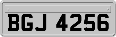 BGJ4256