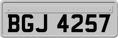 BGJ4257