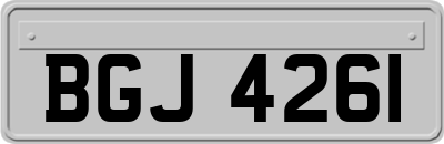 BGJ4261