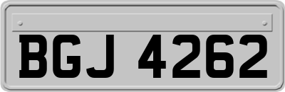 BGJ4262
