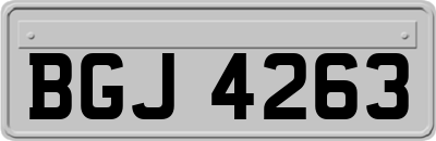 BGJ4263