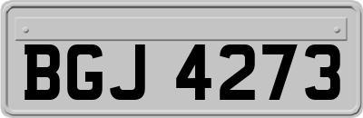 BGJ4273