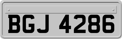 BGJ4286