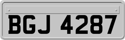 BGJ4287