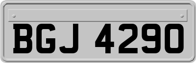 BGJ4290