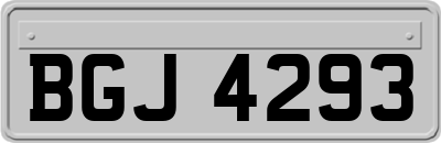 BGJ4293
