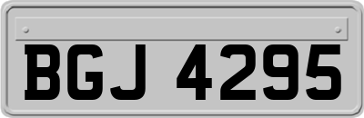 BGJ4295