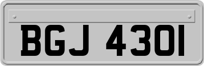 BGJ4301