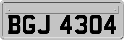 BGJ4304