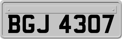 BGJ4307