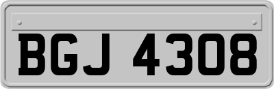 BGJ4308