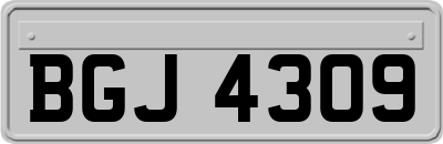 BGJ4309