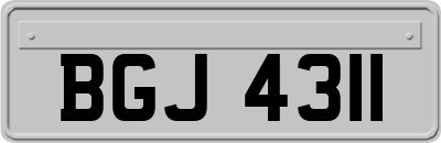 BGJ4311