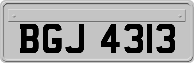 BGJ4313