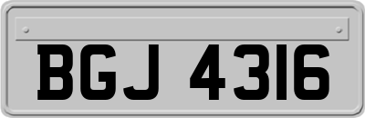 BGJ4316