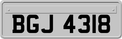 BGJ4318