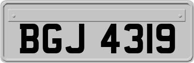 BGJ4319