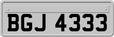 BGJ4333