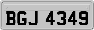 BGJ4349