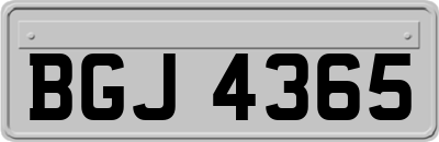 BGJ4365