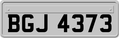 BGJ4373